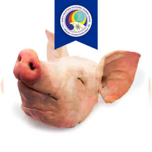 Pork Head