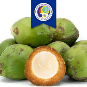 Coconut