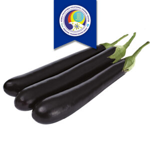 Eggplant