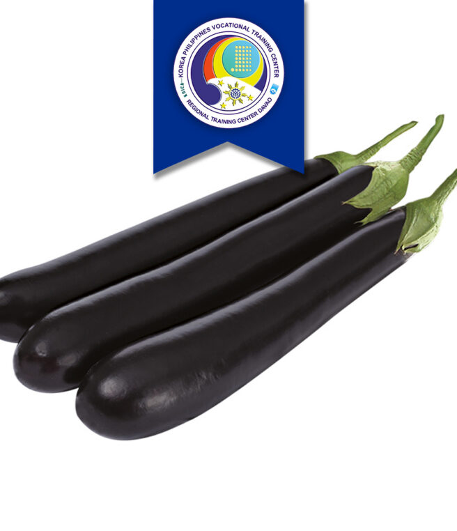Eggplant